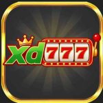 xd777 Game
